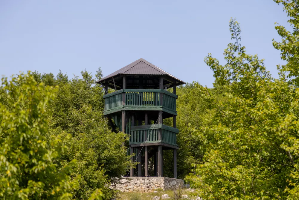 Foto: Lucijan &Scaron;panić