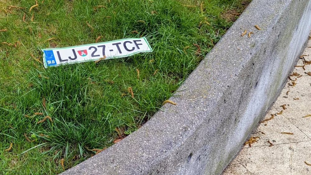 Tale revica se je zna&scaron;la na trati v centru mesta. / Foto: Bralec