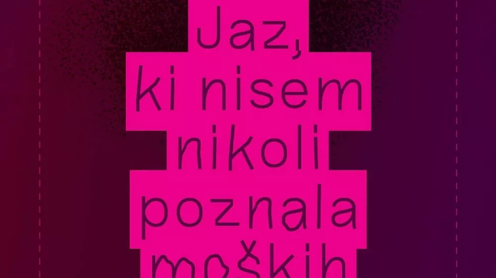 Jaz, ki nisem nikoli poznala mo&scaron;kih, roman