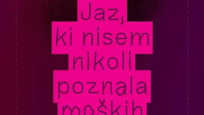 Jaz, ki nisem nikoli poznala mo&scaron;kih, roman