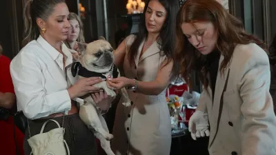 NEW YORK, UNITED STATES - APRIL 15: A dog named Bubba wears a diamond collar at the event of 'Diamonds Are a Dog's Best Friend', a Canine Couture Trunk Show, featuring high-end canine jewelry, including diamond-set collars, in collaboration with D Diamond at the Baccarat Hotel in Manhattan, New York City, U.S., on Wednesday, April 15, 2026. Selcuk Acar / Anadolu,Image: 1091472826, License: Rights-managed, Restrictions:, Model Release: no