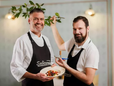 Salicornia Koper / Foto: Salicornia Koper