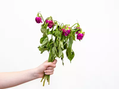 Ne prav lep &scaron;opek / Foto: Istock