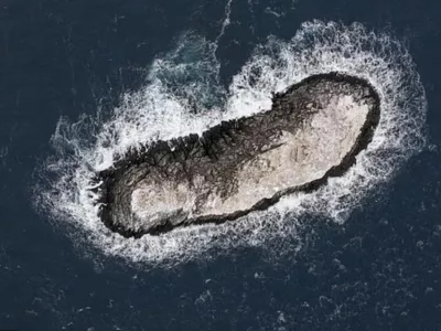 Foto: zajem zaslona X