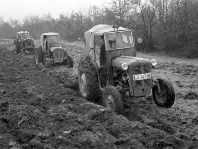 Leto 1963. Oranje njive, vsaka brazda pripoveduje zgodbo o trdem delu na polju. / Foto: Marjan Ciglič, Hrani: Muzej Novej&scaron;e In Sodobne Zgodovine Slovenije