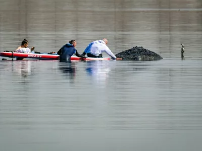 Pomagati so mu hoteli na sto in en način, vendar so bila prizadevanja doslej neuspe&scaron;na. / Foto: Profimedia