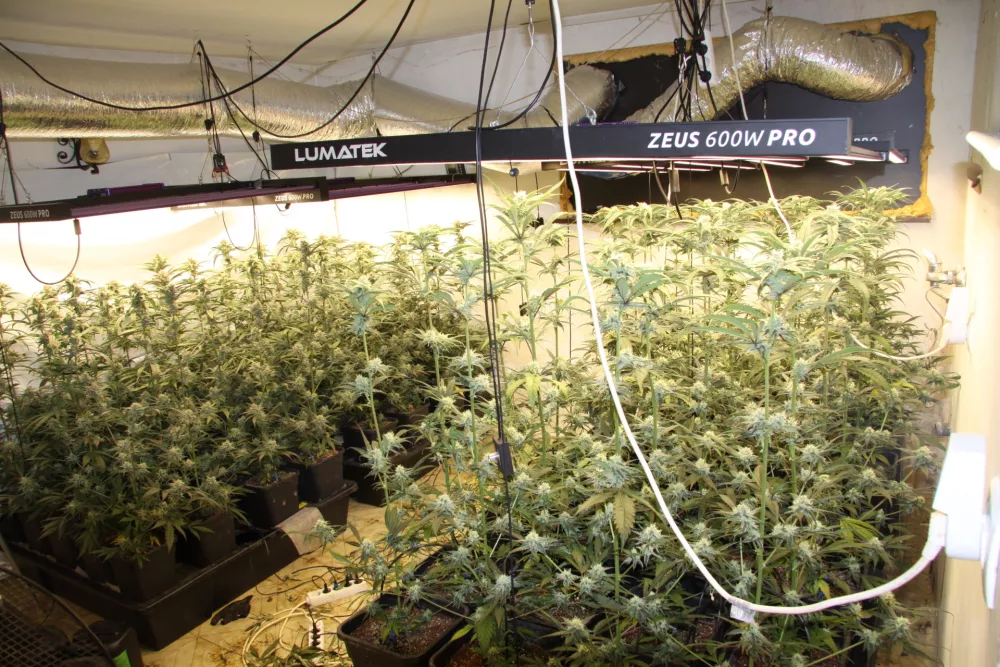 Policisti so imeli kaj videti.