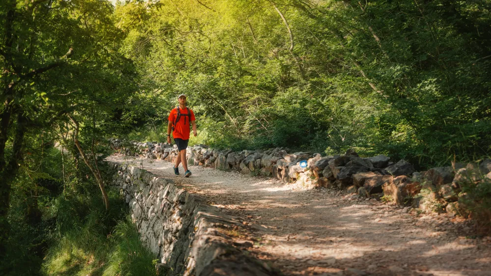 Foto: Alen Buljuba&scaron;ić