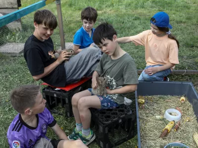 Vrti&scaron;če na Rakovi jel&scaron;i: Na robu Ljubljane nastaja učilnica na prostem