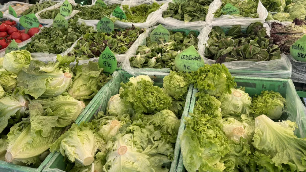 Bogata izbira solate na centralni tržnici