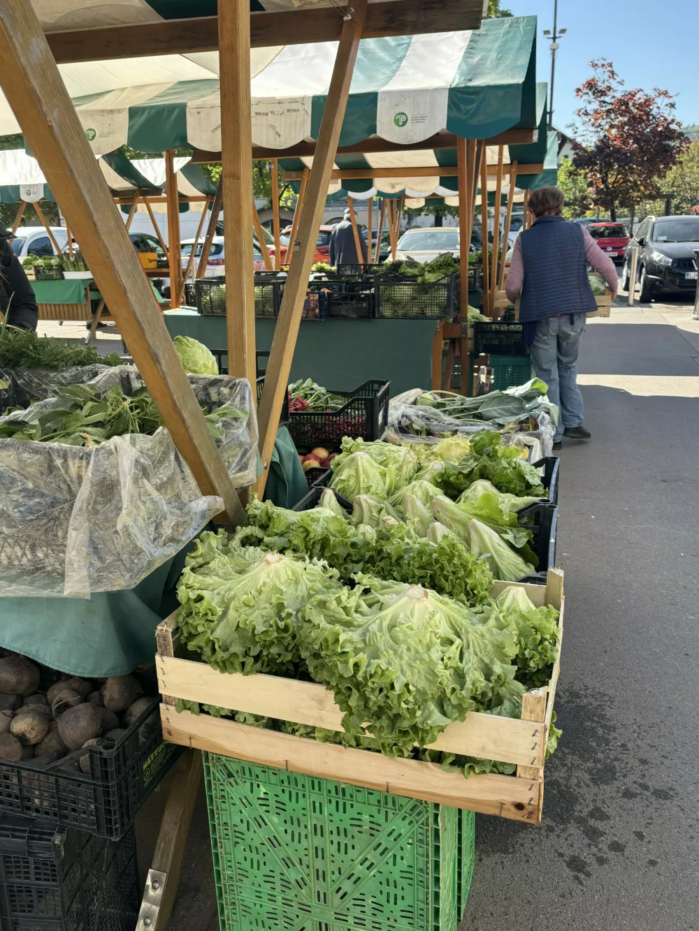 Na tržnici Moste kilogram solate stane od treh do &scaron;tirih evrov. 