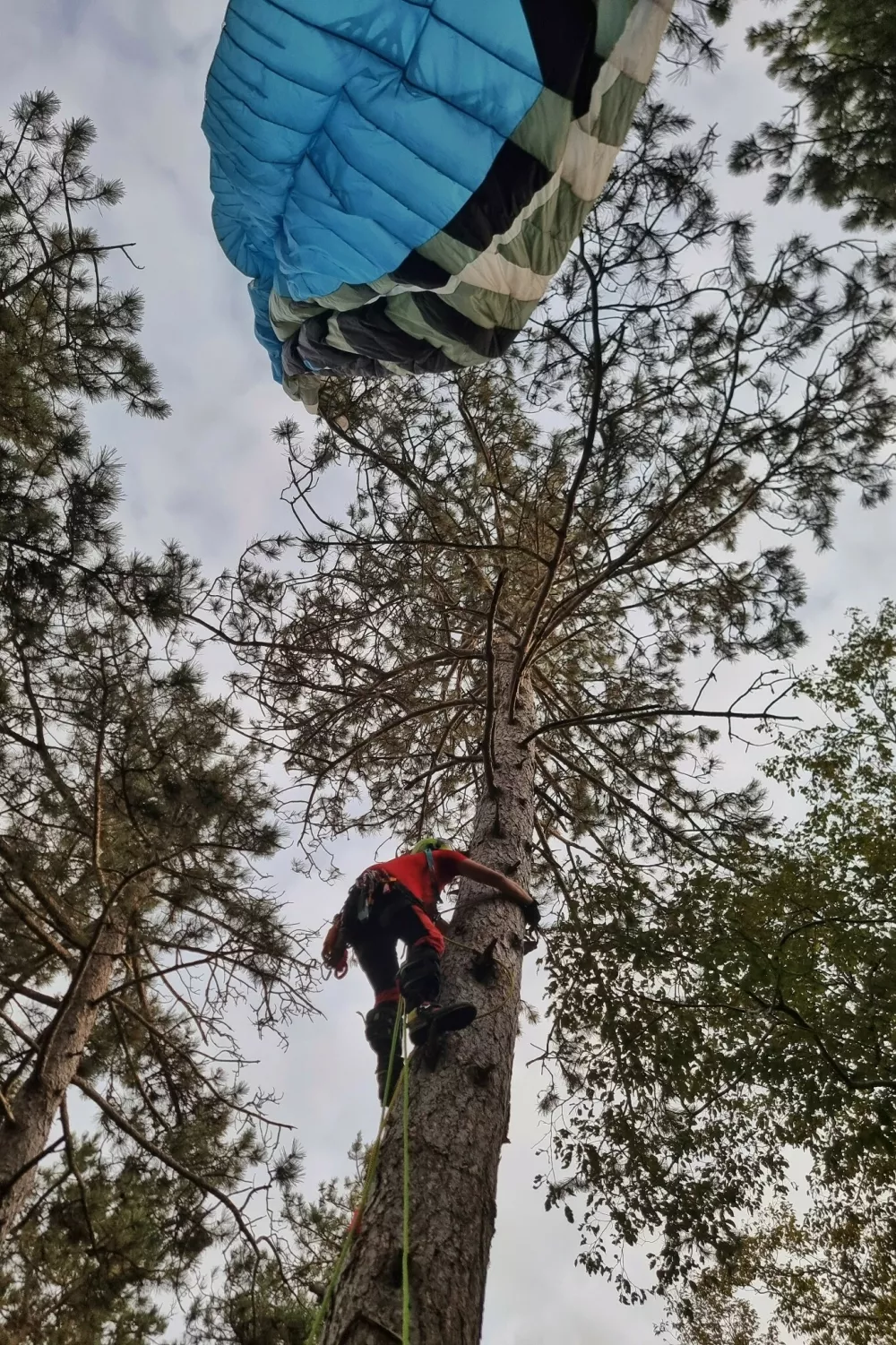 (VIDEO) Za jadralne padalce je pristanek na drevesu sreča v nesreči