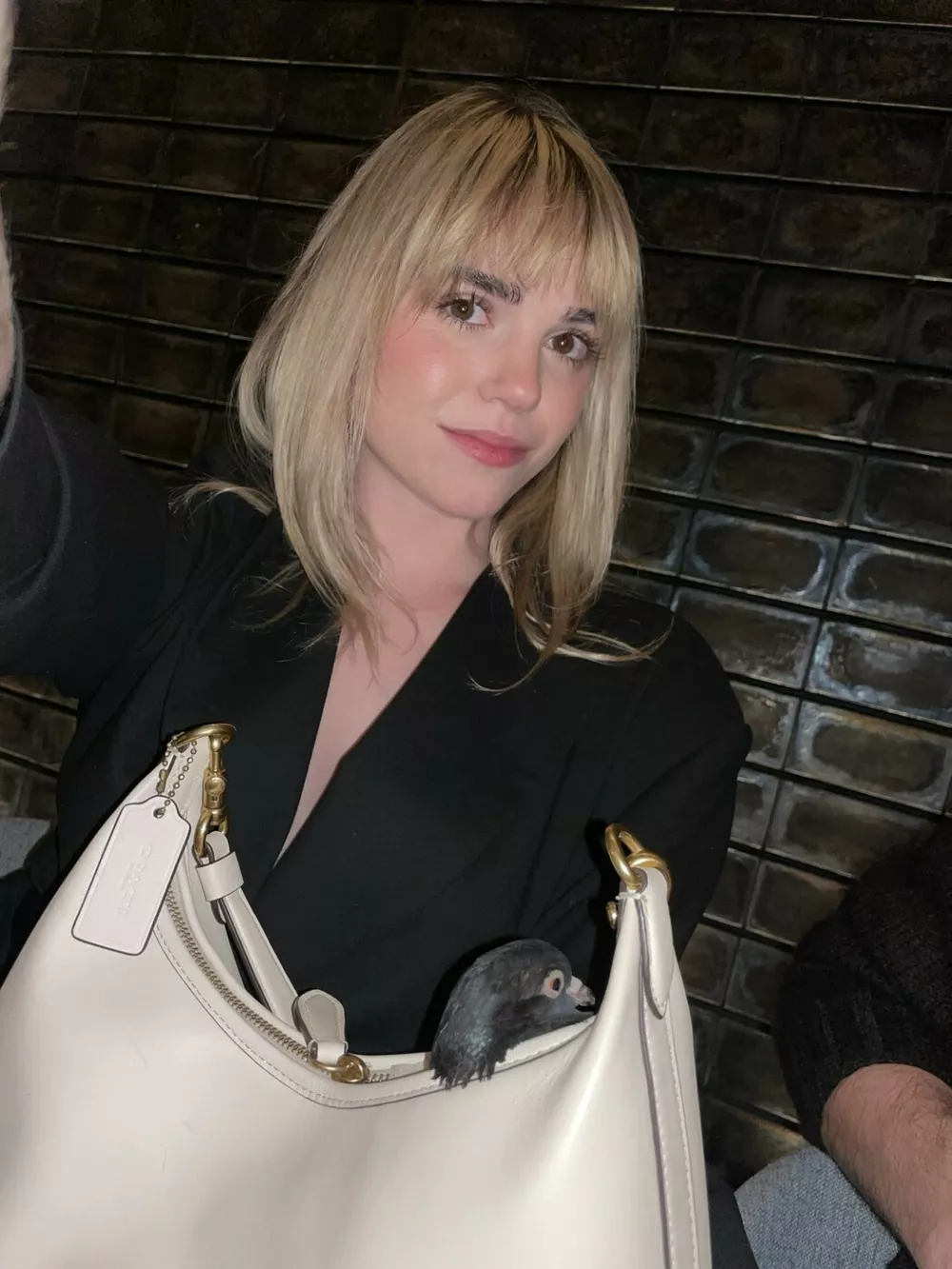 EXCLUSIVE: Story from Jam Press (Womans Pet Pigeon) Pictured: Social media reacts after a woman reveals she has a pet pigeon she carries in her handbag.VIDEO: 'I have a pet PIGEON that I carry in my handbag'A woman who carries her pet pigeon around in her handbag says she "feels like a proud mum" when people spot them together.Abby Jardine regularly brings her pet pigeon out for the day, carried in a dedicated bag &ndash; whether it's to run errands, meet friends or just go for a walk in the park.She said the pigeon, named Pidge, "pretty quickly became a permanent family member".The 28-year-old found the baby pigeon when she was around three weeks old and had been pushed out of her nest too early."She was trying to hide in a corner near some trash near my apartment," Abby told What's The Jam."I checked on her every time I went out that day, and was really worried about her since it was a busy street, so I ended up catching her in a bag and taking her inside."She couldn't fly or eat on her own, so she wouldn't have made it outside."I thought this would be a temporary thing, where I took care of her for a few weeks and then let her go."However, the content creator quickly found it hard to detach &ndash; as pigeons are intelligent and affectionate creatures.She added: "Baby birds bond extremely fast, and I found out that pigeons are domestic animals and thrive as pets."They typically live 15+ years as pets instead of just two or three years on the street."After a couple of weeks caring for her at home, Pidge had grown a lot, and I wanted to be able to take her with me to my friends' and boyfriend's apartments."I had an extra purse sample from when I used to work in handbags, and it was kind of the perfect size for carrying a pigeon."I tried taking an Uber with her in the bag, and it worked surprisingly well."Plus, she obviously enjoyed looking out the window during the drive."From then, Abby &ndash; who is based in New York City &ndash; says she regularly started tak.23 Jan 2026Pictured: Story from Jam Press (Womans Pet Pigeon) Pictured: Abby with Pidge the pigeon.VIDEO: 'I have a pet PIGEON that I carry in my handbag'A woman who carries her pet pigeon around in her handbag says she "feels like a proud mum" when people spot them together.Abby Jardine regularly brings her pet pigeon out for the day, carried in a dedicated bag &ndash; whether it's to run errands, meet friends or just go for a walk in the park.She said the pigeon, named Pidge, "pretty quickly became a permanent family member".The 28-year-old found the baby pigeon when she was around three weeks old and had been pushed out of her nest too early."She was trying to hide in a corner near some trash near my apartment," Abby told What's The Jam."I checked on her every time I went out that day, and was really worried about her since it was a busy street, so I ended up catching her in a bag and taking her inside."She couldn't fly or eat on her own, so she wouldn't have made it outside."I thought thi.,Image: 1068518198, License: Rights-managed, Restrictions: NO Australia, Germany, Norway, South Korea, Sweden, United Kingdom, United States, Unknown Country, Model Release: no