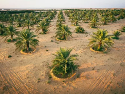Podobne projekte izvajajo tudi drugod. Slika je iz Združenih arabskih emiratov. 