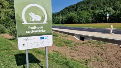 Ko človek pomaga naravi: zgodba o re&scaron;enih selitvah