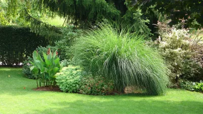 Lepo negovana in zelena trava