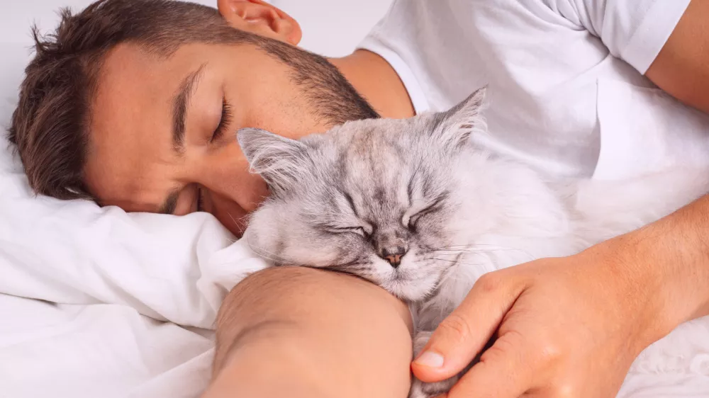 Man sleeping with cat. Lovely cat and owner. Love and trust between people and pets. High quality photo / Foto: Daria Kulkova