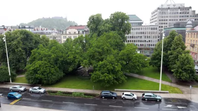 12.05.2026 - Miklošičev parkFoto: Tomaž Skale