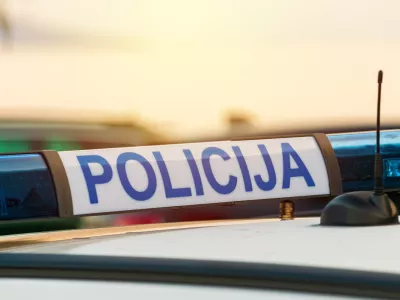 Sodnik je določil vi&scaron;jo kazen, kot so jo predlagali policisti. / Foto: Istock