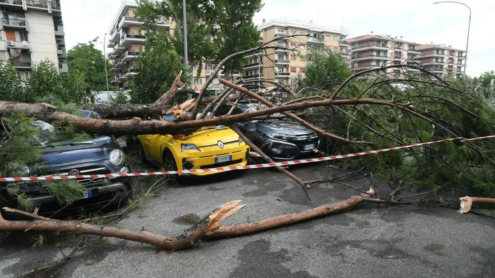Foto: Profimedia