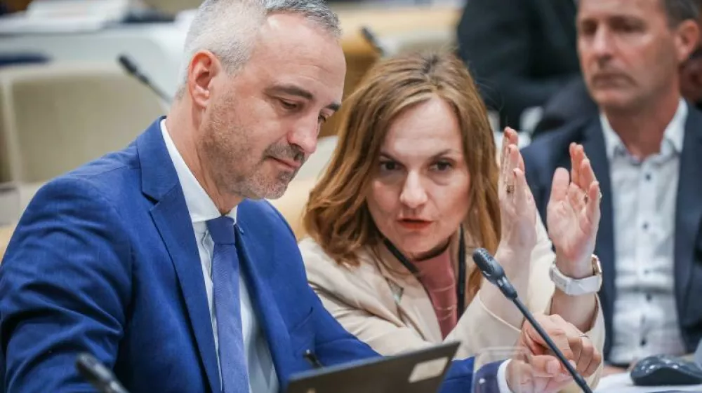Mojca Erjavec, Janez Cigler Kralj, NSi