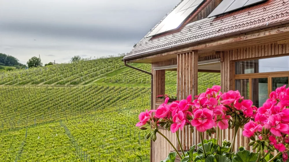 Vino in turizem Valdhuber