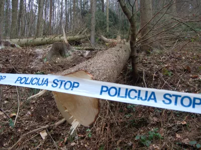 Končali preiskavo brutalne ugrabitve: Na obrobju Ljubljane v avtu na&scaron;li čevelj žrtve