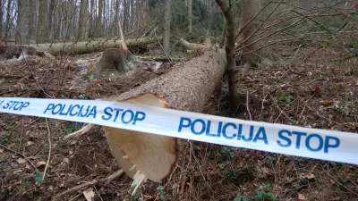 Končali preiskavo brutalne ugrabitve: Na obrobju Ljubljane v avtu na&scaron;li čevelj žrtve