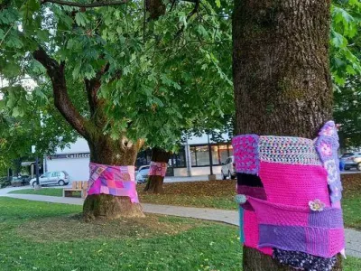 Na akcijo ozave&scaron;čanja o raku dojk v Radovljici opozarjajo tudi z rožnatimi pleteninami, ki ovijajo debla dreves pred grajskim drevoredom.&nbsp;