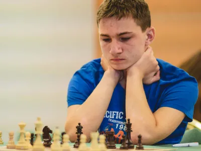 &scaron;ah, jan &scaron;ubelj