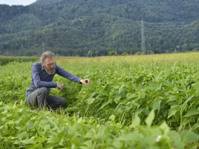 Tomaž &Scaron;korjanc F osebni arhiv