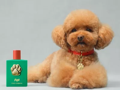 Modna hi&scaron;a zagotavlja, da bo nova di&scaron;iva navdu&scaron;ila tudi najbolj zahtevne F Instagram/Dolce & Gabbana