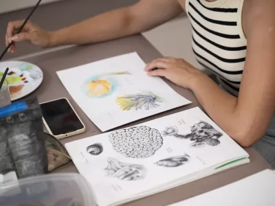 IzobrazbaUčenjeUstvarjalnost27.07.2024 - Mednarodna poletna &scaron;ola znanstvene ilustracije za slabovidneFOTO: Nik Erik Neubauer