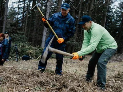 Slovenski državni gozdovi, akcija pomladitve gozdov, Robert Tomazin