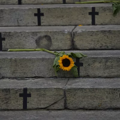 Sunflowers and crosses cover the City Council steps during a protest against femicide on International Women's Day in Rio de Janeiro, Brazil, Friday, March 8, 2024. (AP Photo/Silvia Izquierdo)