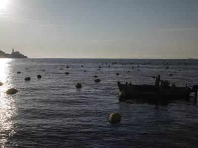 Strunjan - 08.09.2014 - IZOLA - Ribi&scaron;tvo &Scaron;koljkarstvo Mitja Petrič s.p. - gojenje &scaron;koljk - &scaron;koljke klapavice in ladinke, nabiranje - &scaron;koljči&scaron;če ///FOTO: Luka Cjuha OPOMBA: ZA OBJAVO V PRILOGI &ndash; DNEVNIKOV OBJEKTIV - REPORTAŽA 2014